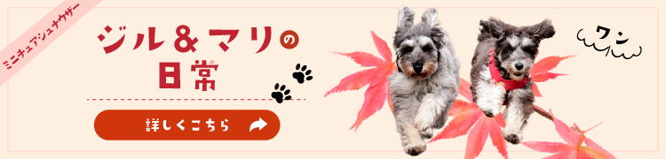 ジル＆マリの日常TikTok